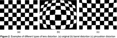 lens distortion figure 2