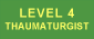 Level 4: Thaumaturgist Level 4: Thaumaturgist
